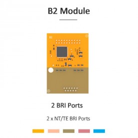 B2 Module (2 BRI)